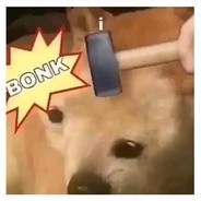 BoNk