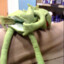 kermit enjoyer 421