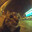 SOLLID CAT