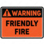 Friendly Fire