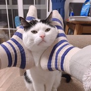 一大口肥牛卷