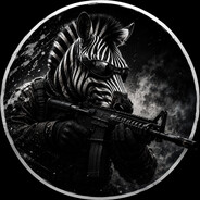 Zebra movement