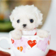 Emotional.radio-沐白