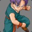 TrunkS