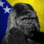 Bosnian Gorilla