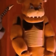 bear