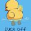 DUCK