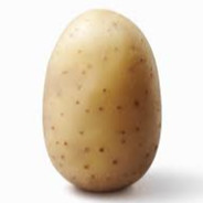 Potato