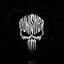 Punisher