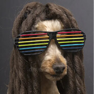 pipo POLSKI-SURVIVAL.PL