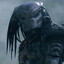 The Predator