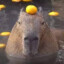 Capybara