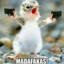 Pewpewpew