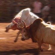 จัดให้เด็กมันดู