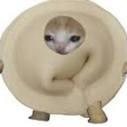 Пельмешик
