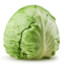 23cabbage