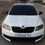 Octavia-RS-Speed