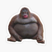 fat monkey