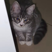 天真无邪李二牛