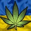 Кайфарик
