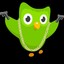 Duolingo Bird