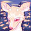 Doe∀Deer