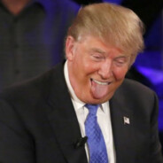 开挂一户口本原地爆炸