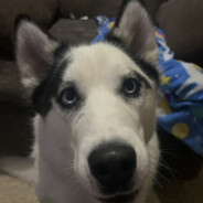 Daqko
