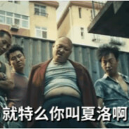 傻逼游戏天天崩溃