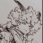 aizushii