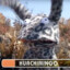 El Huachimingo