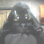 thiagobrd
