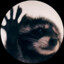 Artex0n