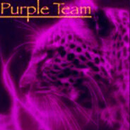 Purple Team