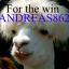 andreas862
