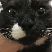 疏而不漏-季昌明