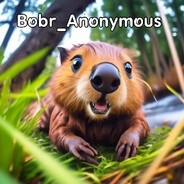 **Bobr_Anonymous**