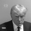 Donald J. Trump
