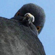 Этиловый алкаш