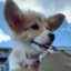 Scott_M