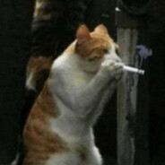 Pan twojego pana ™