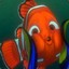 AMARAL
