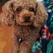 已打通任督二脉