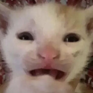 ᶻᵉᵉᶜʰ - steam id 76561198136261747