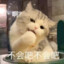 伤心胖头鱼