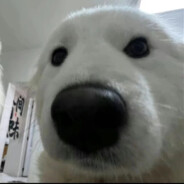 色字头上一把刀，能挨一刀是一刀