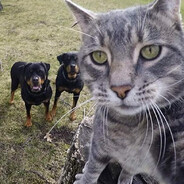 roflo peper ♥ ♥ ♥