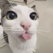 2023хайперпоп