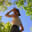 zector-