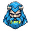 Fixer